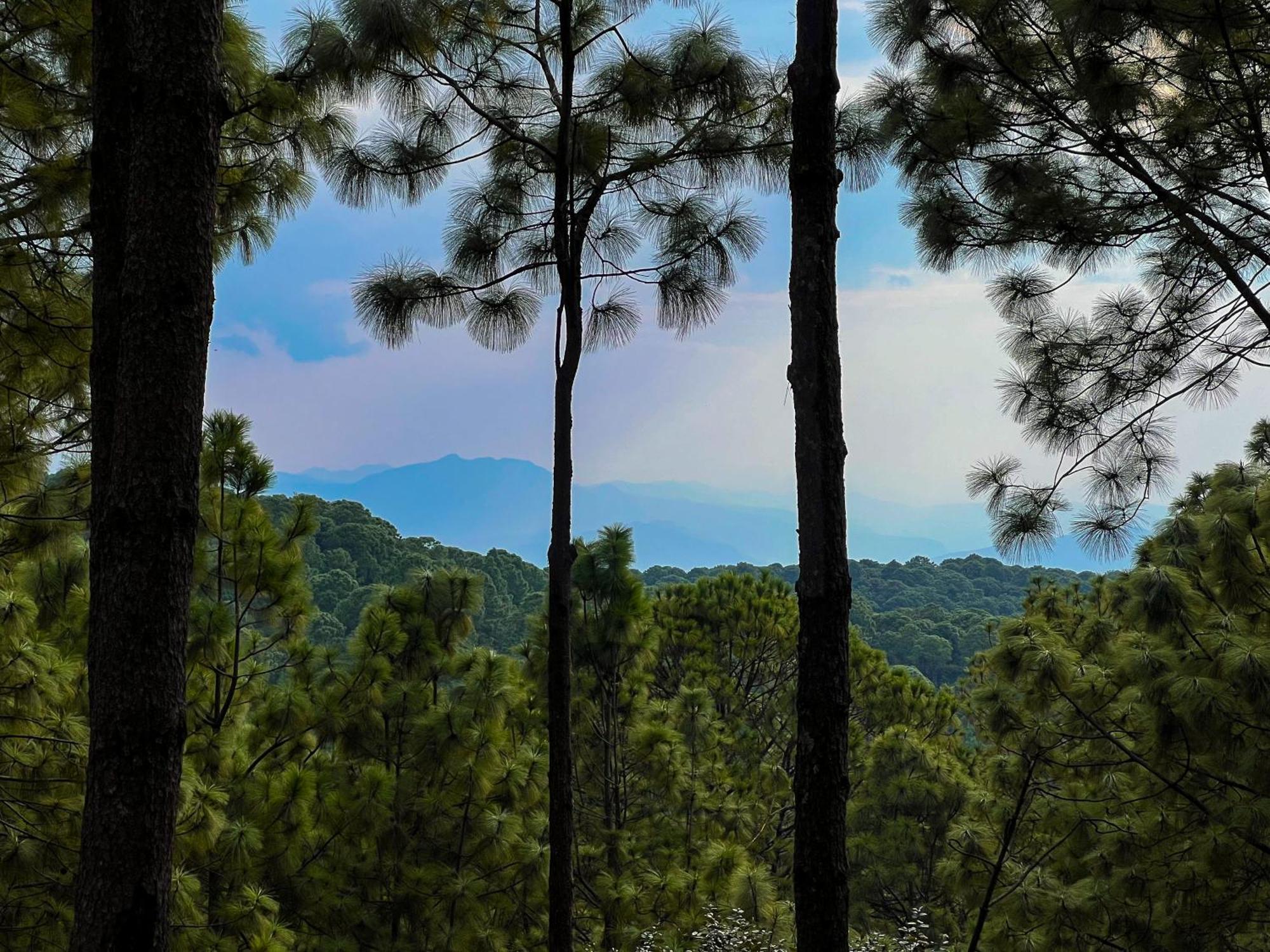 Tres Lunas Domo Mazamitla Esterno foto